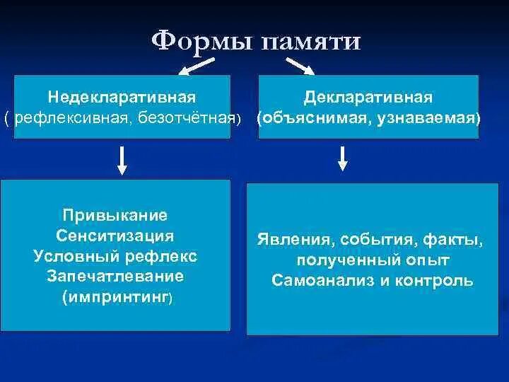 Формы памяти. Декларативная и недекларативная память. Виды памяти по форме. Классифицировать память по формам.