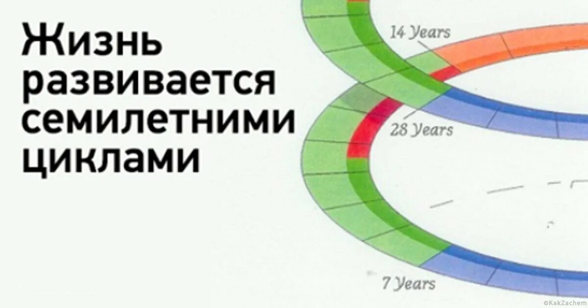 Семилетние циклы жизни. Семилетние циклы. Семилетние циклы в жизни. Семилетняя цикличность жизни. Семилетний жизненный цикл человека.