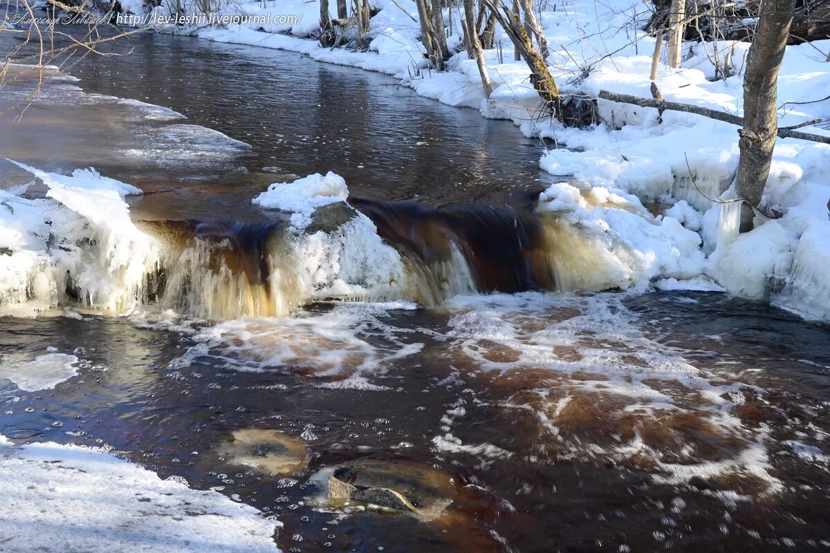 Включи журчание. Весенние воды. Талые воды весной. Весенние ручьи.