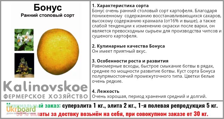 ). Накопительная программа лояльности. Огурец бонус описание. Презентация акции на товар. Бонус.