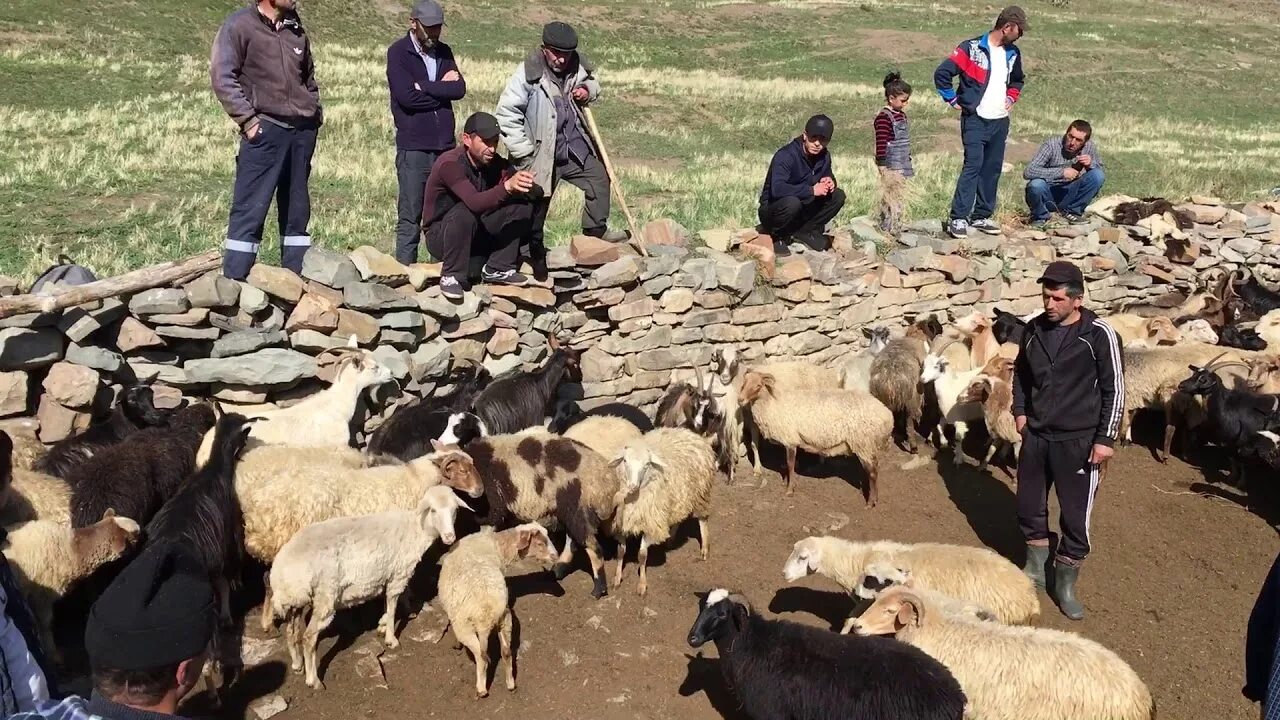 Погода в ашаре. Село Дагестан Курахский район. Село Хпедж Курахского района. Село Шимихюр Курахский район. Село кабир Курахский район.