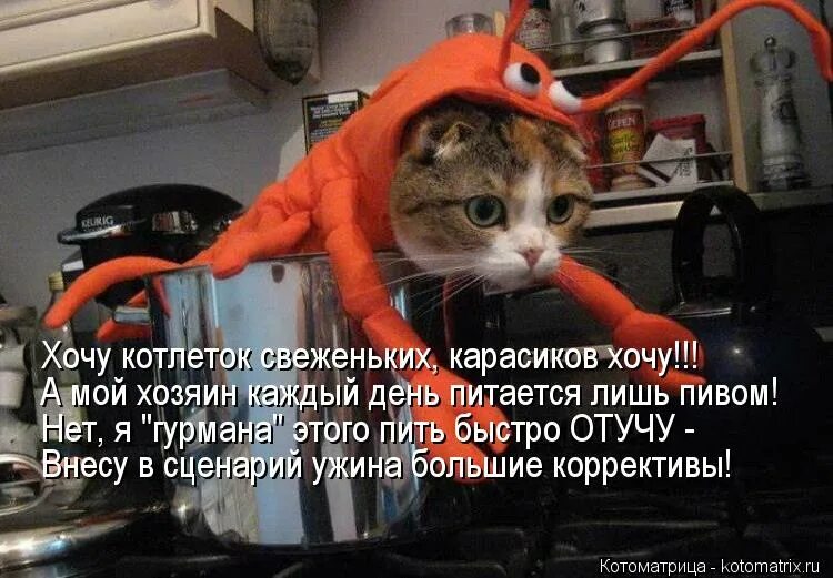 Как звали хозяйку мявки. Книга как стать хорошей хозяйкой. Хозяйке на заметку извиниться перед гостями. Как хозяйку зовут. Как звали хозяйку на дне.