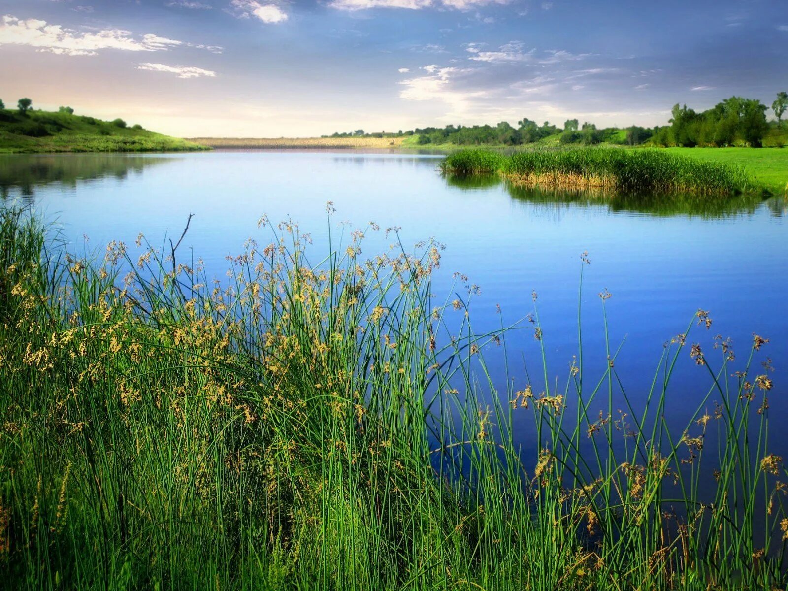 Летний пейзаж. Речной пейзаж. Река полянка калужская область. Озеро через поле. Озеро через поле.