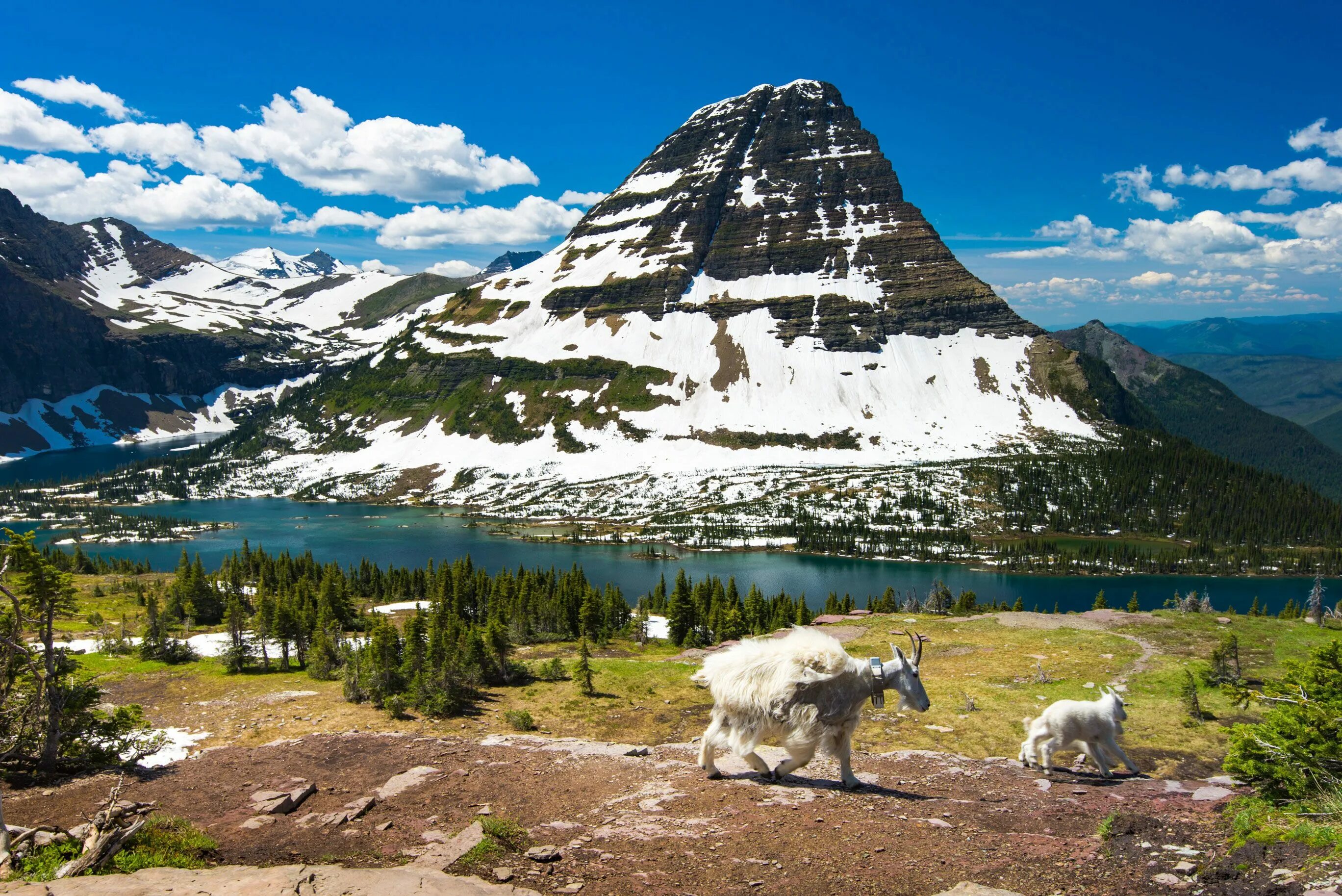 Парк Глейшер в штате Монтана. Glacier штат Монтана. Глейшер (национальный парк, США). Штат Монтана национальный парк Глейшер озеро.