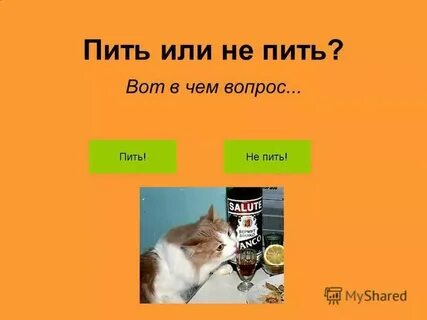Что ответить на вопрос что пьем
