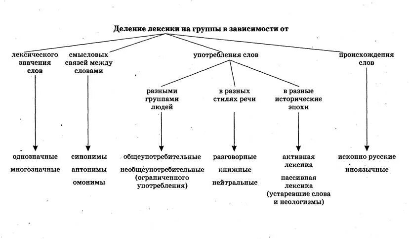 Основные типы лексических слов в русском языке. Типы лексических значений таблица. Основные типы лексических значений. Деление лексики русского языка на группы. Схемы лексики