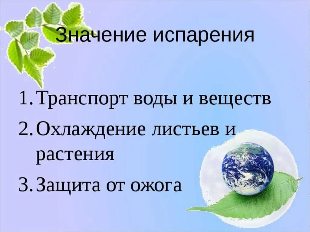 1 какое значение имеет испарение для растений