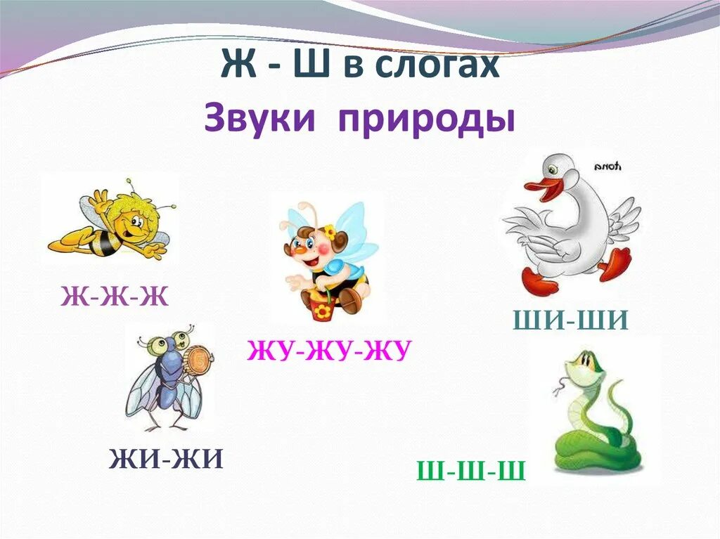 Дифференциация ш-ж в слогах. Дифференциация ж ш в слогах и словах. На звуки [ж