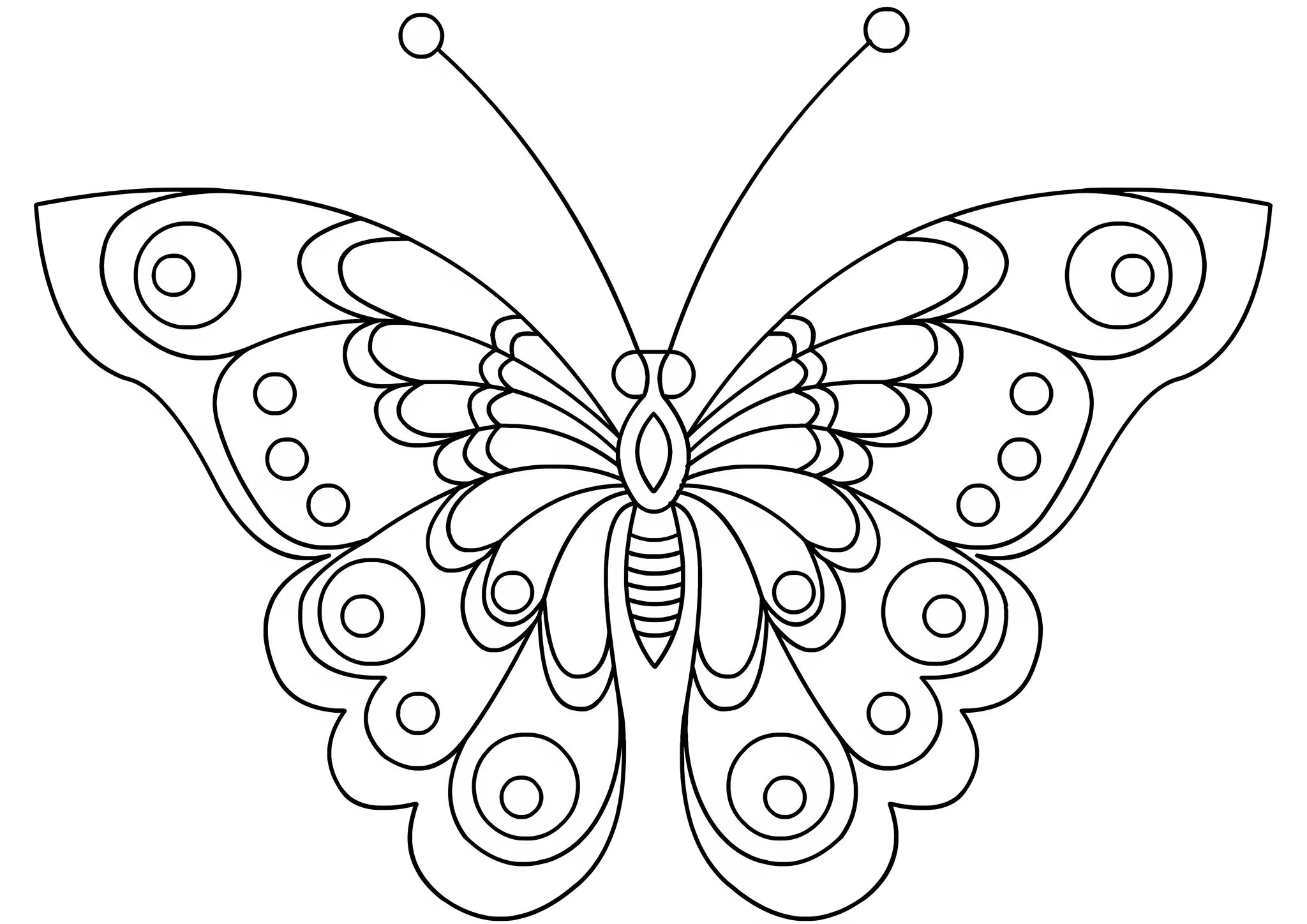 Трафареты для раскрашивания. Раскраска "бабочки". Бабочка рисунок. Шаблоны бабочек для раскрашивания детям. Бабочка раскраска шаблон.