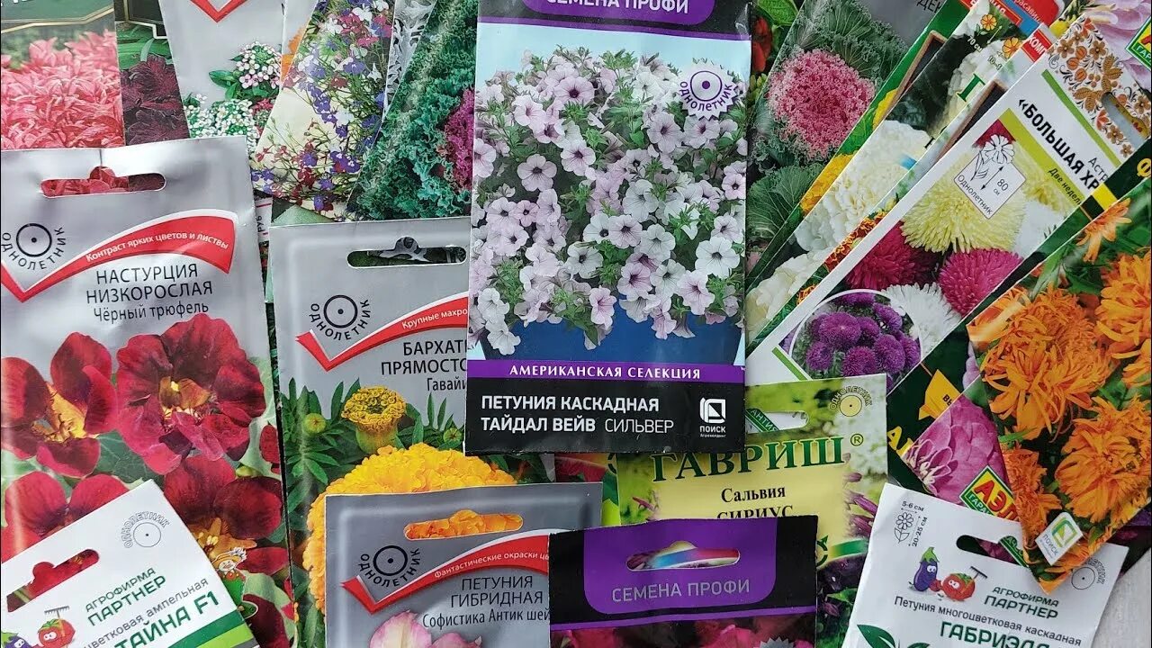 Многолетние цветы семенами. Новинки семян цветов. Цветы семена. Семена цветов. Пакетики с семенами овощей.