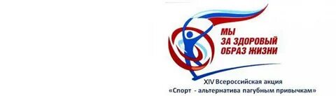 Спортивная альтернатива