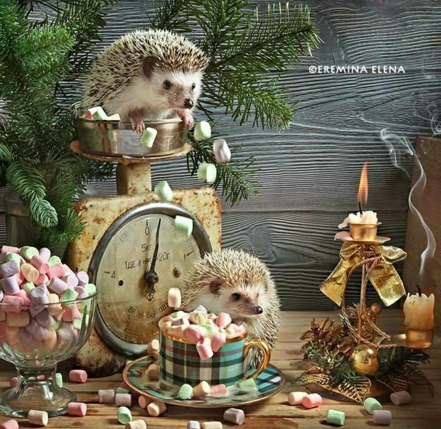 Ежики встречают новый год