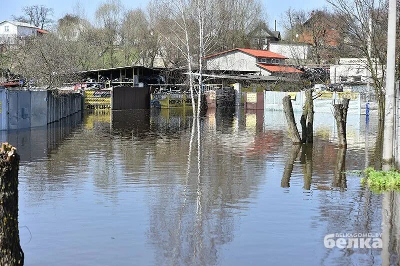 Наводнение. Паводок гомель 2023. Паводок в гомеле на сегодня. Паводок в гомеле на сегодня. Гомель потоп 2023.
