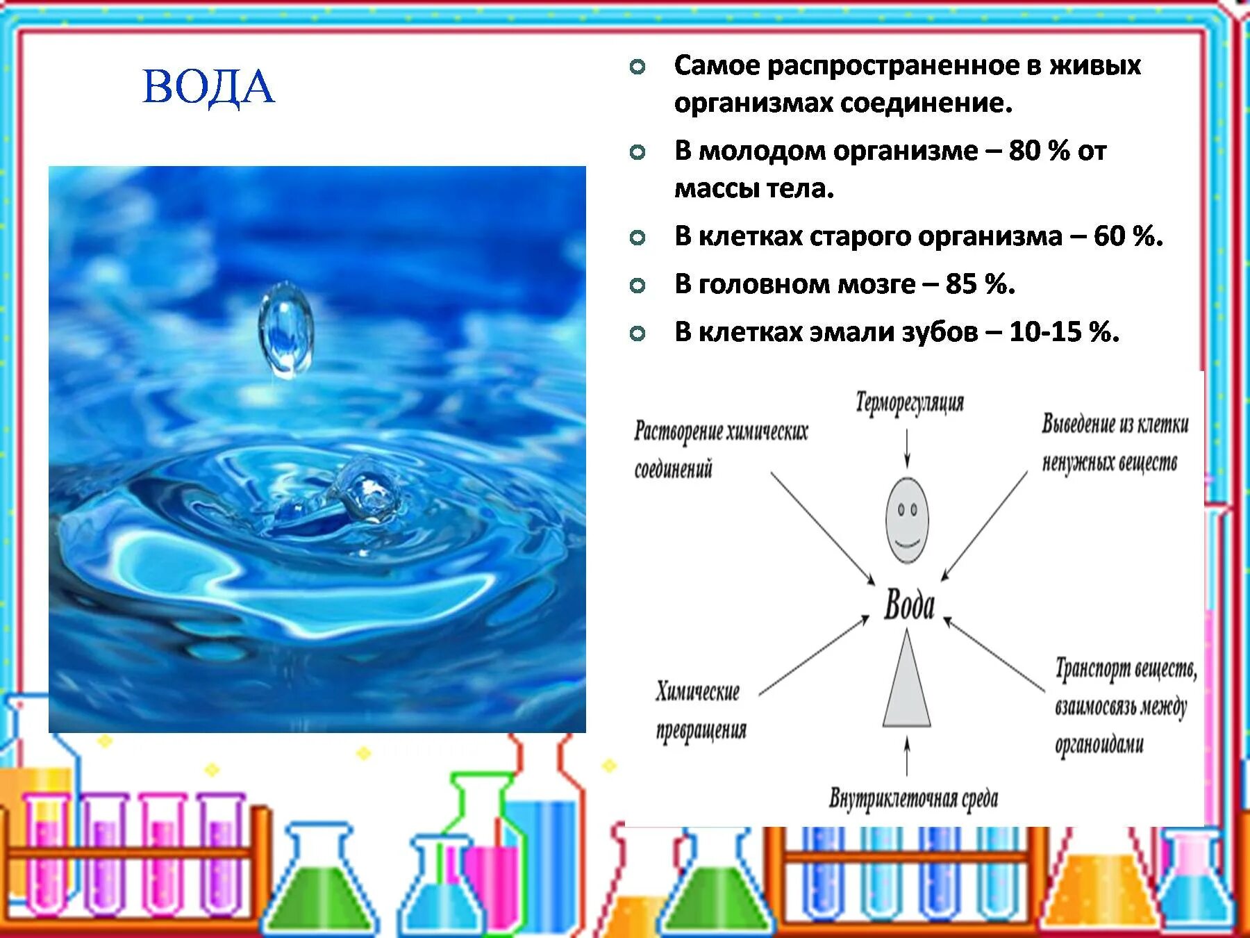 Роль воды в жизнедеятельности клетки. Вода в живых организмах. Состав воды биология. Химический состав клетки.