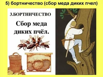 Бортничество это