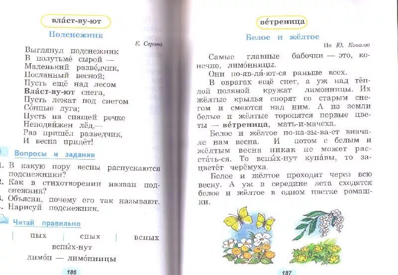 Программа по чтению 8 вид. Программа второго класса чтение. чтение 2 класс овз.