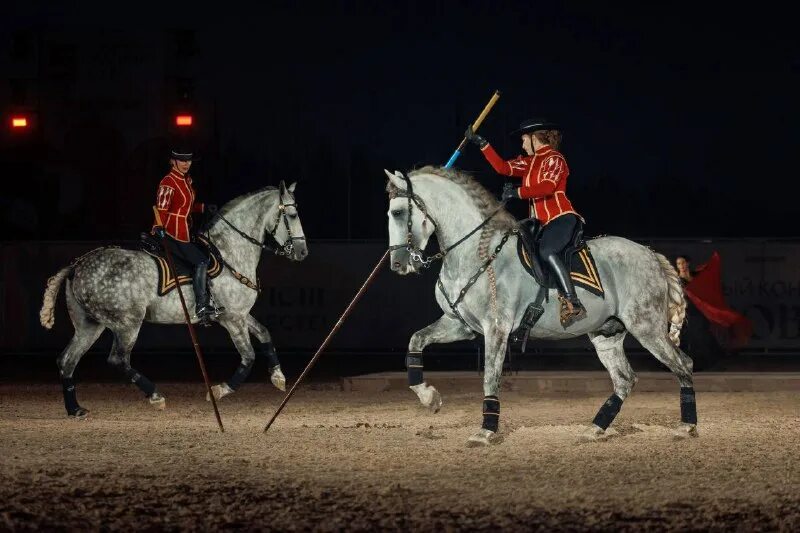 Вигго мортенсен ковбой. Вигго мортенсен неуловимый. Михайловский идальго. Дон кихот михайловский театр. Михайловский идальго.