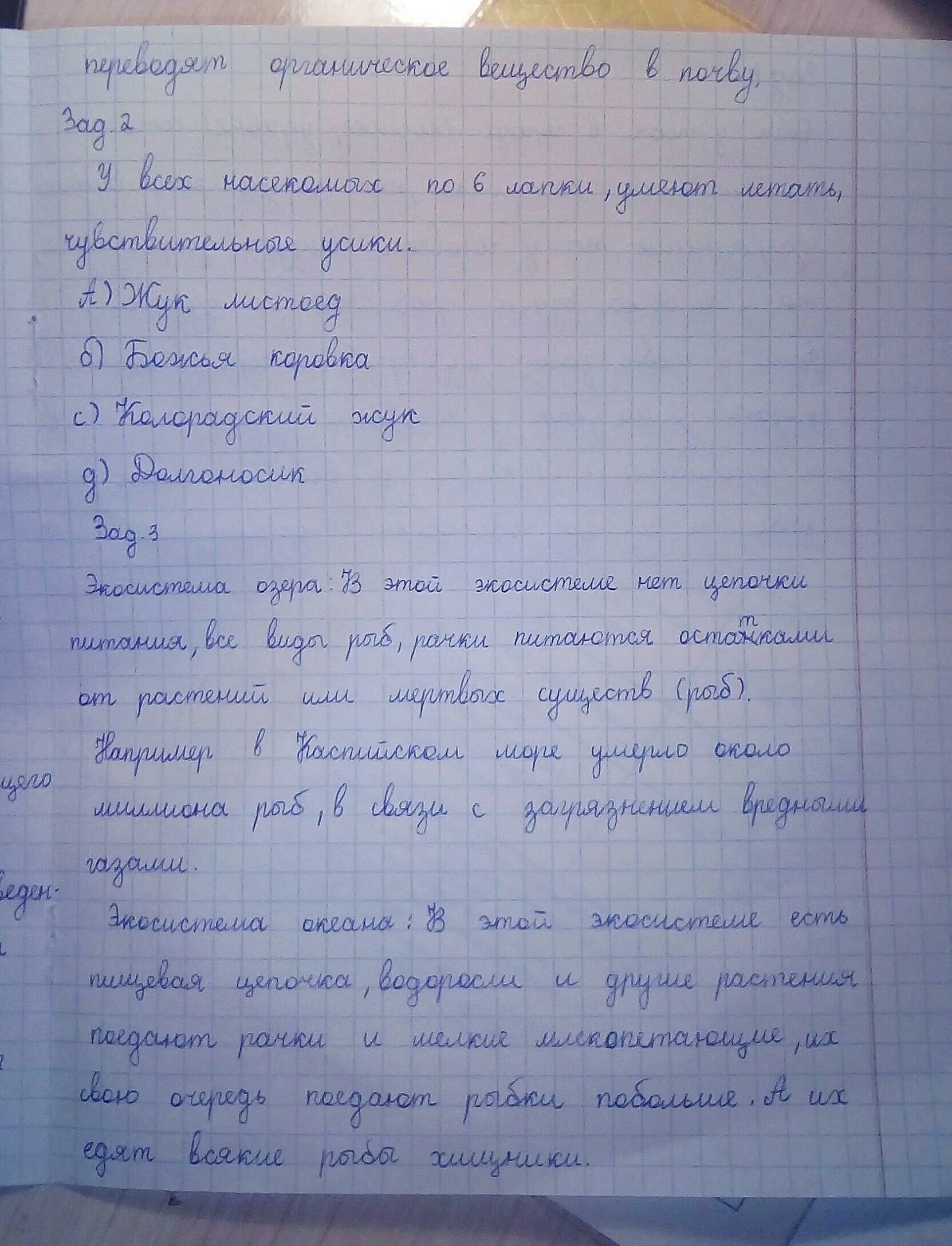 Соч естествознание 4 класс 3 четверть. Соч по естествознанию 6 класс 2 четверть. Сор по естествознанию 6 класс 3 четверть с ответами. Сочи по естествознанию 6 класс 3 четверть. Сор 2 по естествознанию 6 класс 1 четверть с ответами.