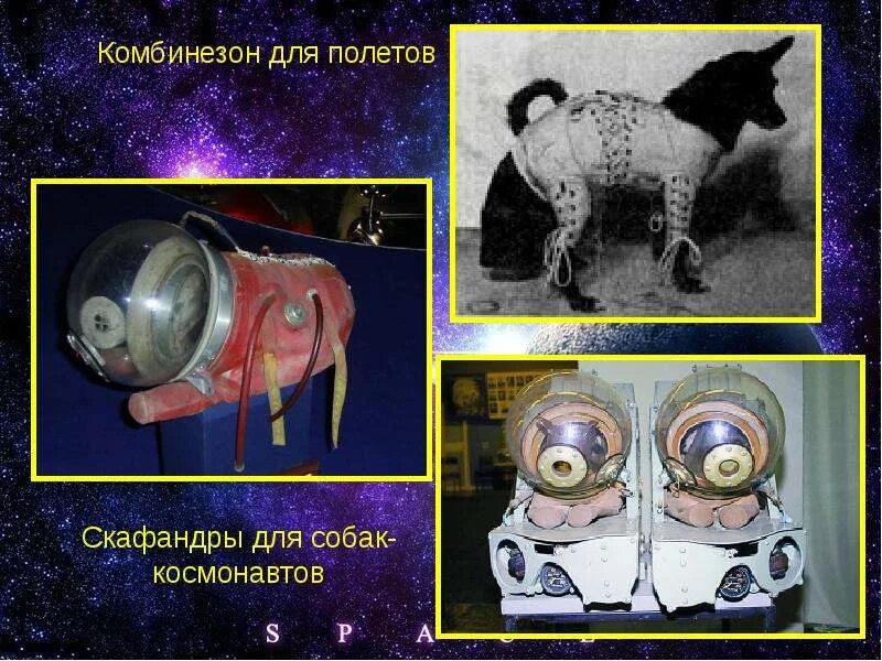 Песня давай полетаем без скафандра