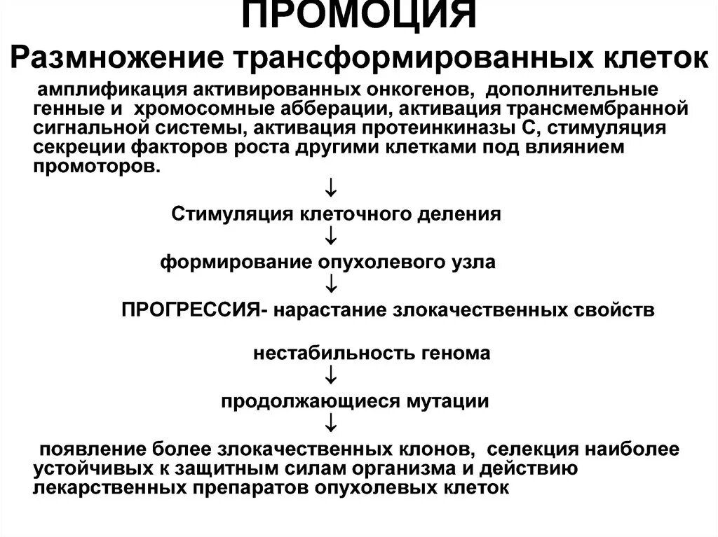 Трансформация клеток. Трансформированные клетки. трансформированные клетки микробиология. особенности трансформированных клеток.
