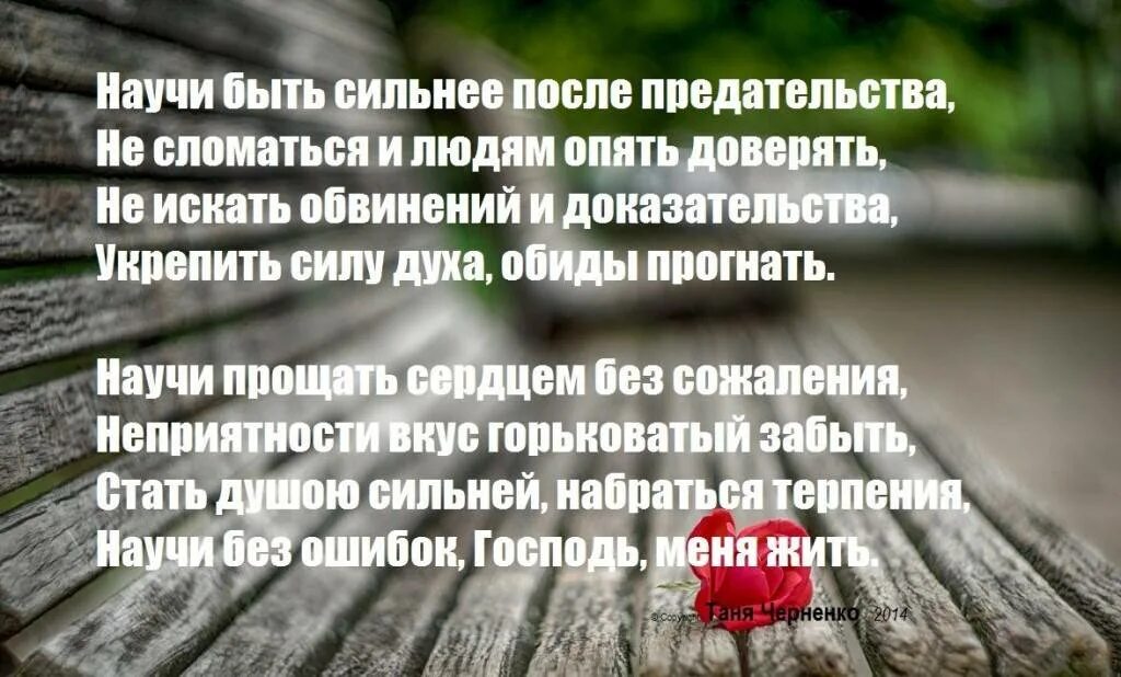 Как вести себя мужчине после измены. Цитаты после измены мужа. Цитаты о предательстве любимого мужчины. Афоризмы о предательстве в любви. Научи быть сильнее после предательства.