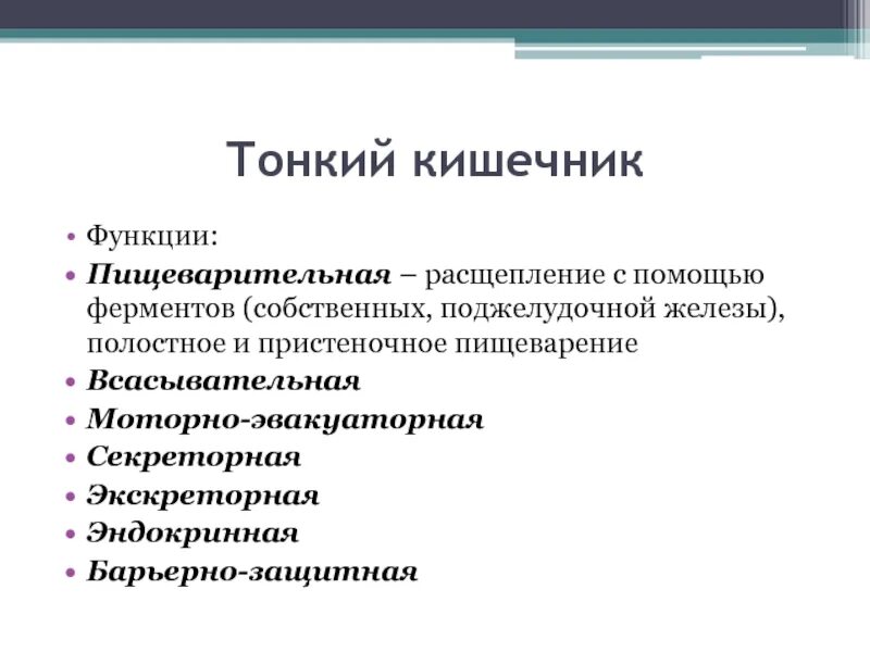 Какова функция тонкого кишечника. Функции тонкой кишки. Функции тонкого кишечника. Тонкий кишечник функции кратко. Основная функция тонкого кишечника у человека.