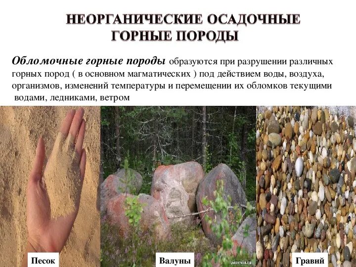Магматическая порода в осадочную горную породу. Осадочные горные породы механические. Осадочные горные горные породы. Осадочные породы. 13 июля международный день горных пород.