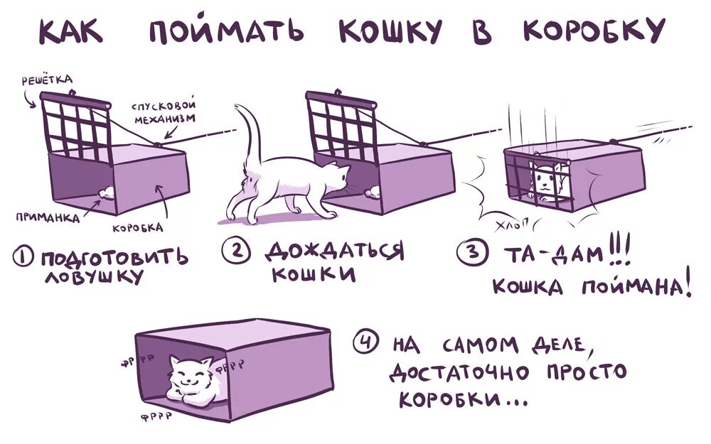 Догонете или догоните как правильно. Как поймать кота. ЛОВУШКА для кота. ЛОВУШКА для кота из коробки. ЛОВУШКА для кошек своими руками.