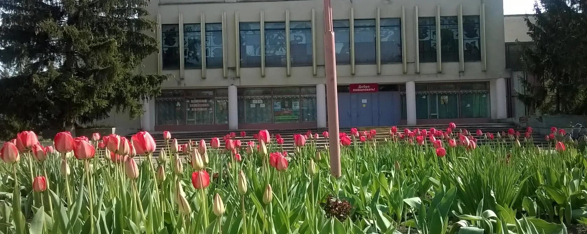 Пос Комсомольский Кущевский район Краснодарский край. Поселок Комсомольский Кущевский район. Первомайский Кущевский район Краснодарский край. Поселок Первомайский Кущевский район.