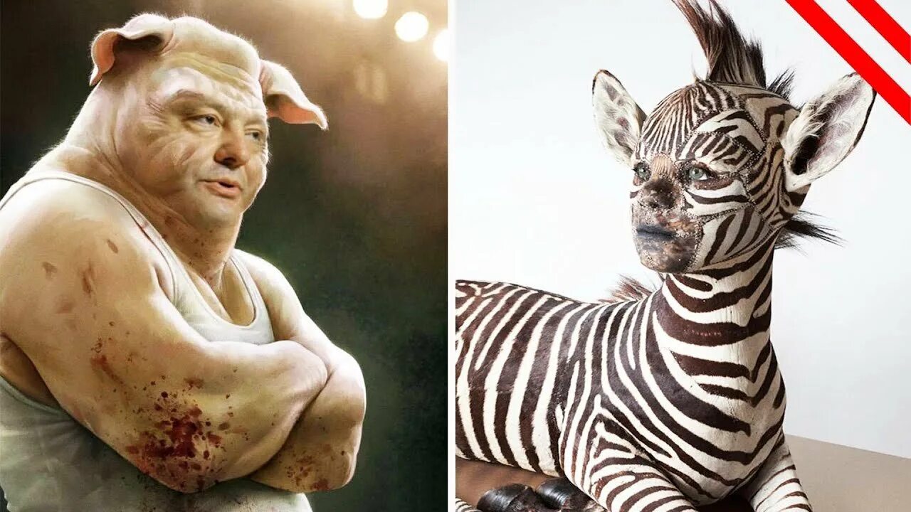 Реальныетгибриды животных. Гибриды животных. Патриция пиччинини выставки. Гибриды созданные человеком. Гибриды созданные человеком.