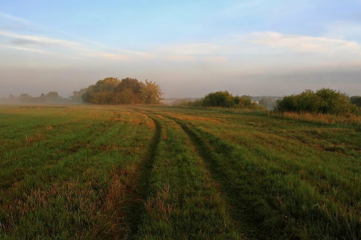 косит поле. сенокосные луга в деревне. бляшки скошенного луга. нескошенный луг заплетенная коса. самсон сеногной.