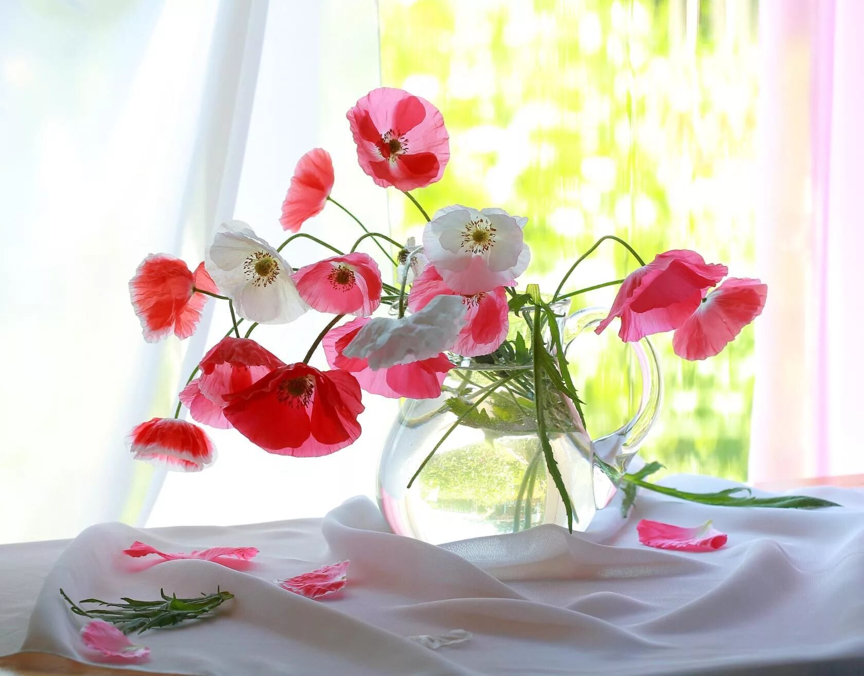 Желаю хорошего настроения и гармонии. Утренние цветы. Цветочное настроение. Доброе утро прекрасного дня красивые. Чудесного дня и отличного настроения цветы.