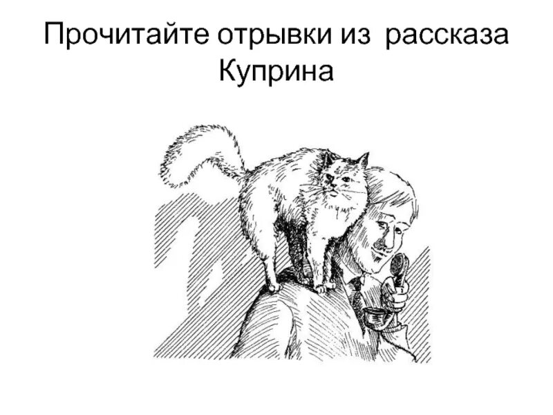 Иллюстрации к рассказу Куприна ю-ю. Куприн а.и. "ю-ю". Изложение рассказа ю-ю. Куприн ЮЮ. Изложение по русскому языку ю ю