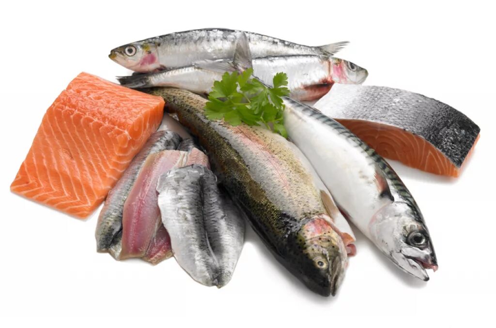 Рыба и морепродукты. Свежая рыба. Рыба и рыбная продукция. Рыба рыбная продукция. Соленая рыба ассортимент.