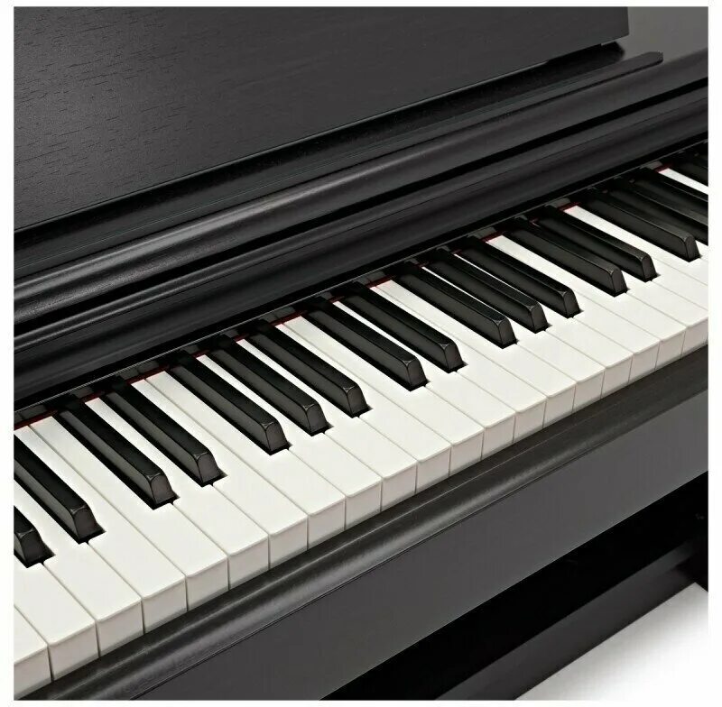 Цифровое пианино yamaha 144. Цифровое пианино yamaha ydp-144. Цифровое пианино yamaha 144. Yamaha ydp-144. Цифровое пианино yamaha 144.