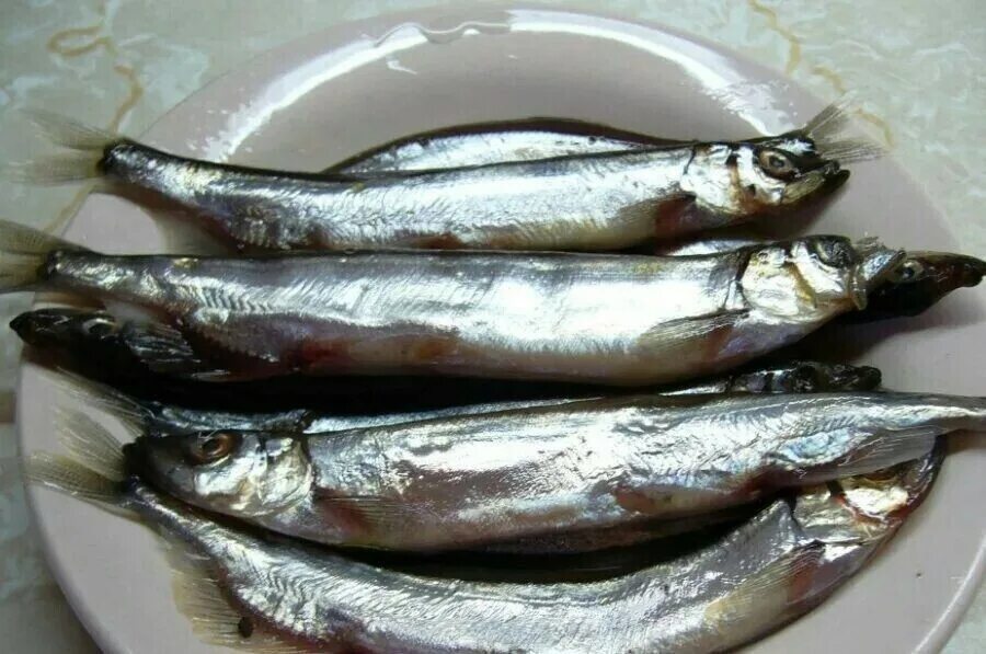 Засолка мойвы