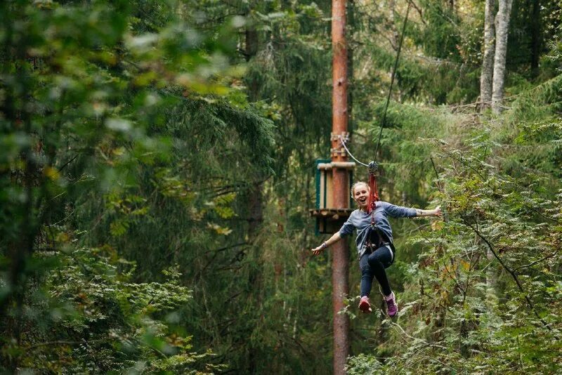 кошкино веревочный парк. веревочный парк koshkino park. кошкино парк веревочный парк. веревочный парк морозовка. кошкино веревочный парк ленинградская область всеволожский район.