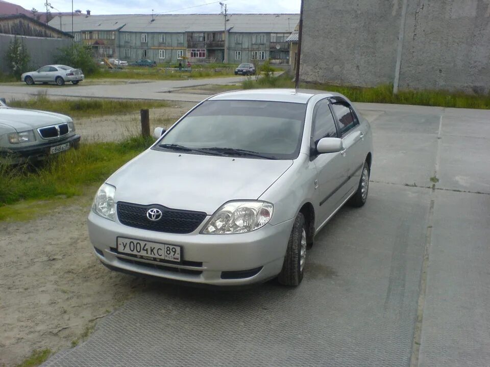 Купить короллу 120 новосибирск. Toyota Corolla 120 2004. Тойота Королла 1/4 2004. Тойота Королла 2004 года. Королла 120 2004.