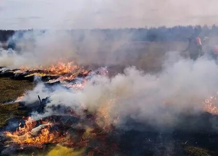 Погода юксеево пермский край кочевский