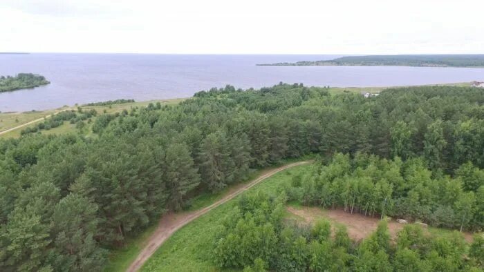 Участки на рыбинском. Свингино Рыбинское водохранилище. Свингино Рыбинск. Ярославская область поселок Свингино. Свингино Плешивец.