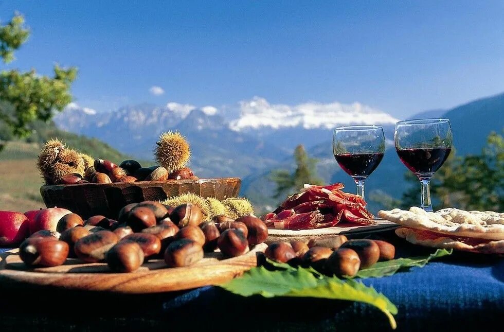 Тбилисоба вино. Вино Грузия горы застолье. Грузия гастротур. Абхазия море вино шашлык.