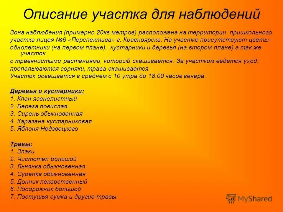 Фенологические наблюдения осень. Наблюдения за растениями осенью. Фенологические наблюдения за растениями осенью. Фенологические изменения в жизни растений осенью.