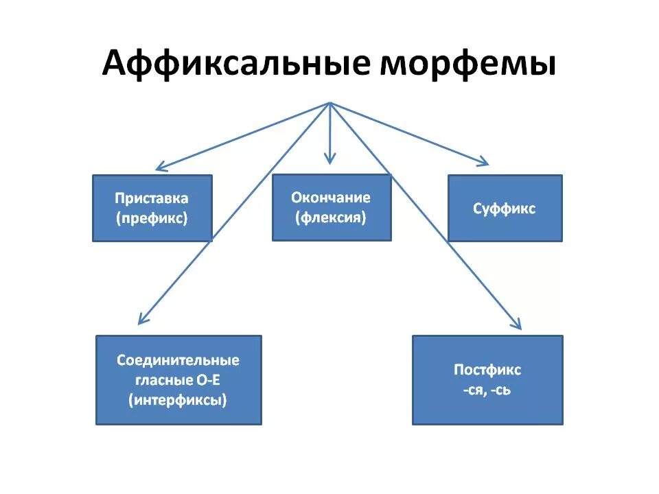 Аффиксальные морфемы