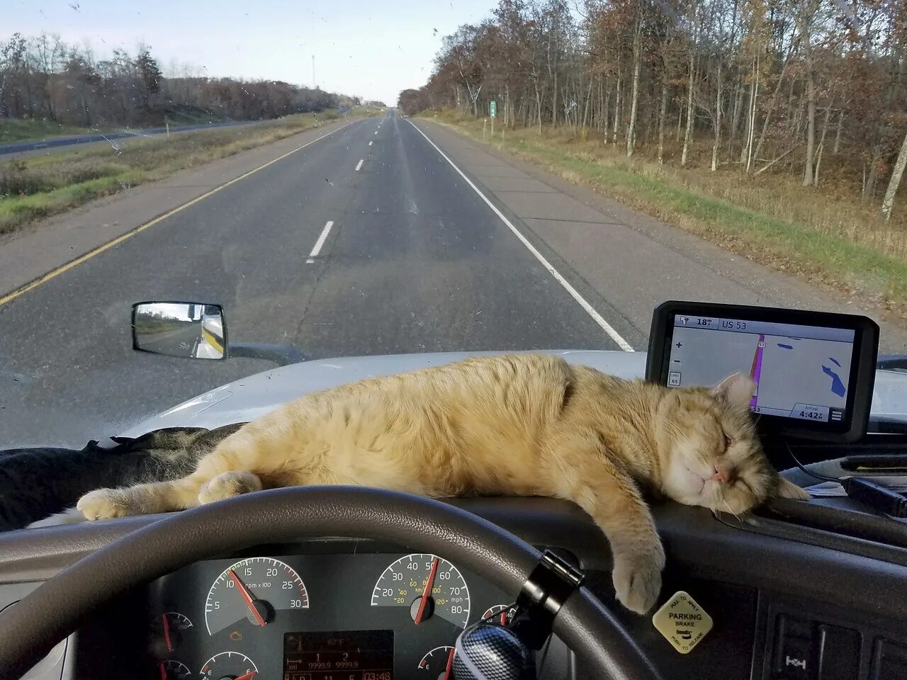 Е то едет