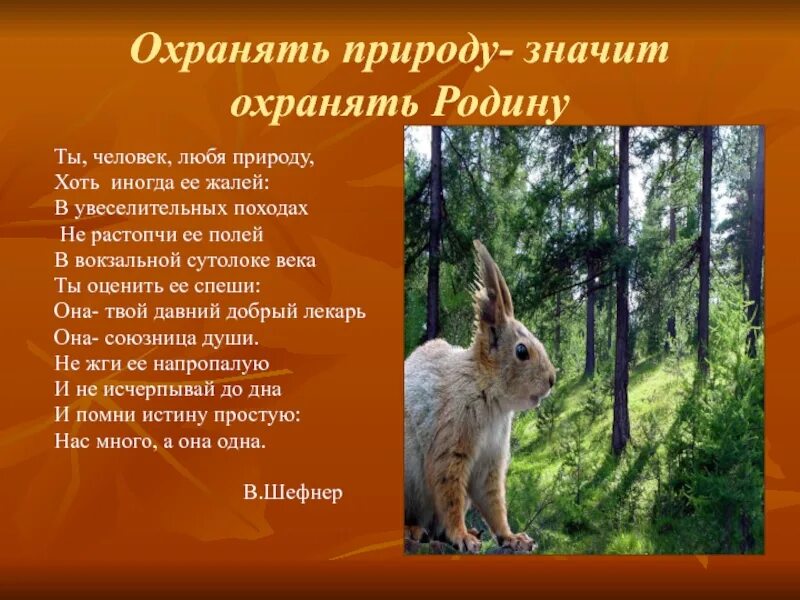 16 охранять природу значит охранять жизнь. Охранять природу значит охранять родину. охранять природу любить родину. проект любить природу значит любить родину. что значит охранять природу.