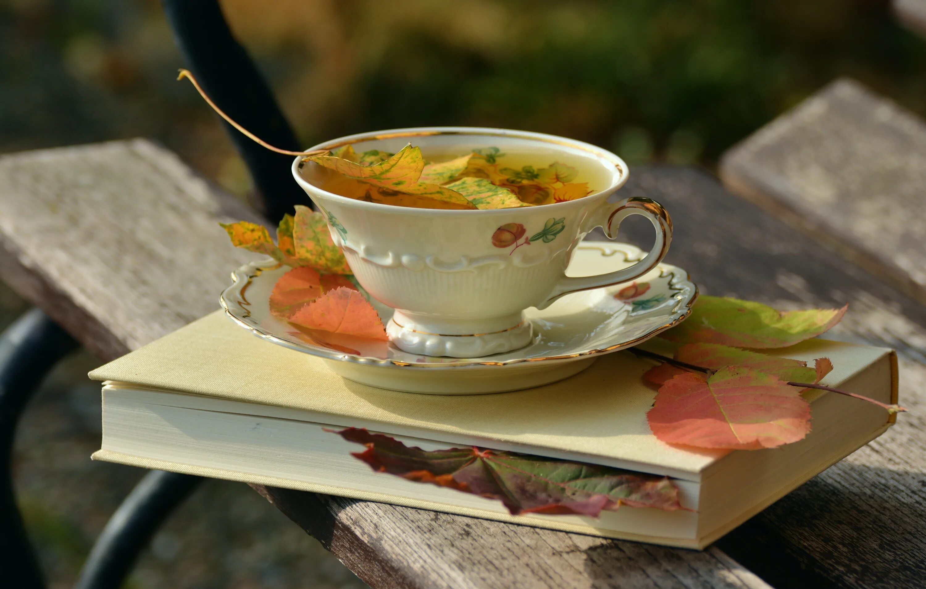 Осенний чай. Осенний завтрак. Чашка чая. Чашка чая осень. Чай на столе фото
