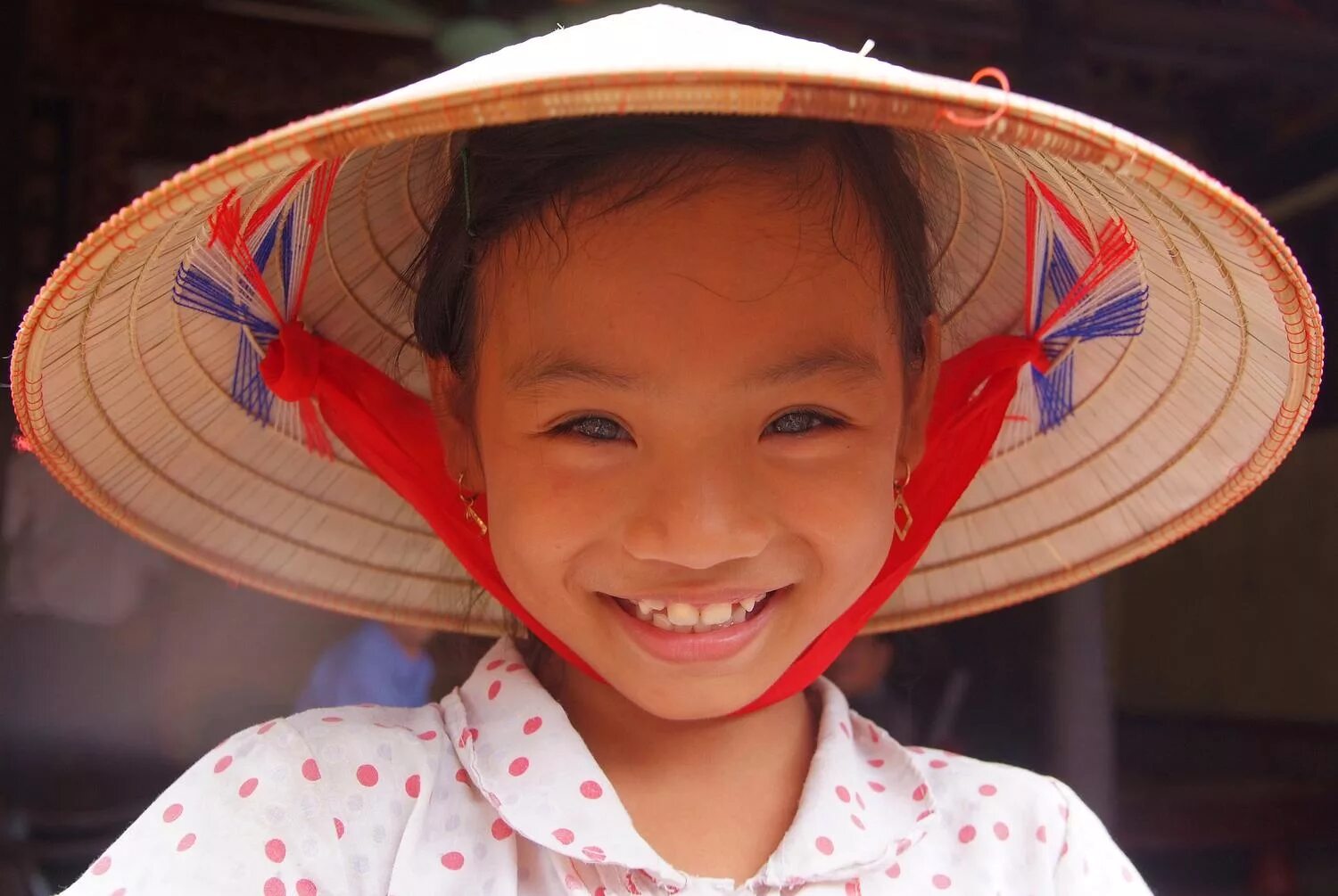 вьетнамская шляпа аризона. вьетнамская шляпа нон ла. вьетнамка девушка. вьетнамец в шляпе. остроконечная шляпа вьетнам.