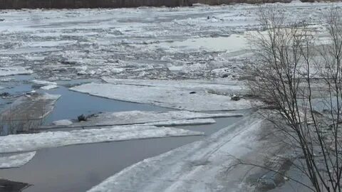 Уровень реки чумыш в заринске