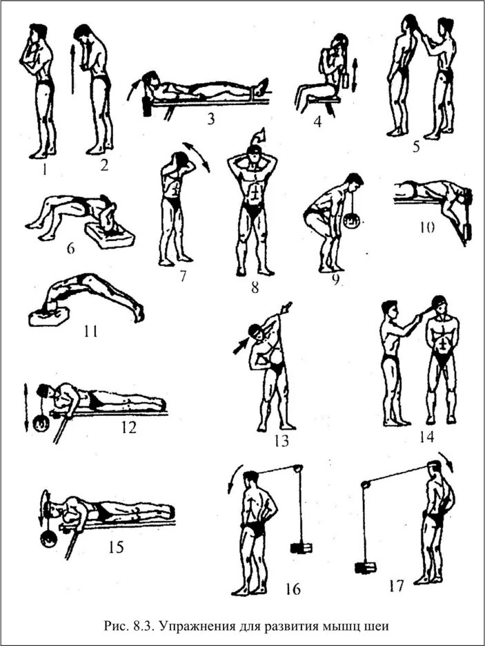Какие упражнения для развития мышц. Комплекс упражнений для мышц. Физ упражнений на мышцы. Комплекс упражнений для развития мышц. Комплекс упражнений для шеи.