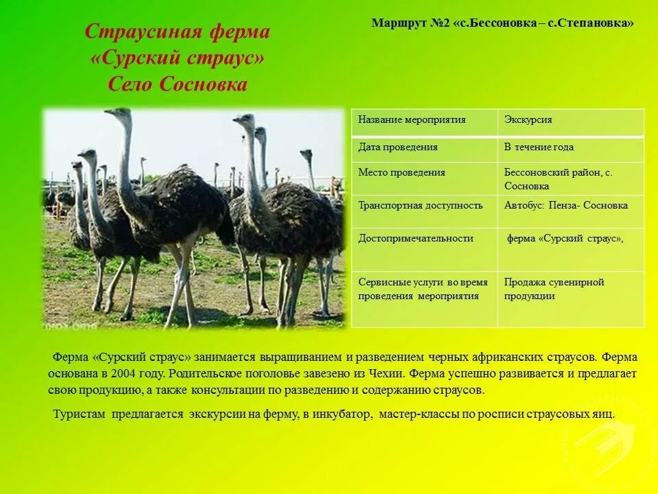 Летнее содержание